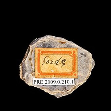 Grotte Duruthy à Sorde-lAbbaye