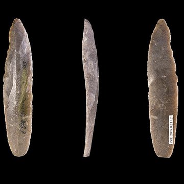 Grotte Duruthy à Sorde-lAbbaye