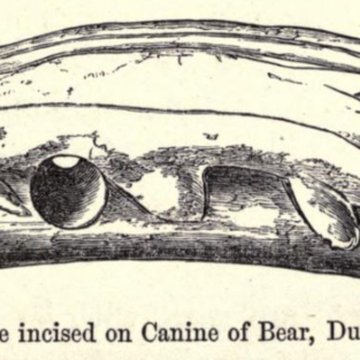 Grotte Duruthy à Sorde-lAbbaye