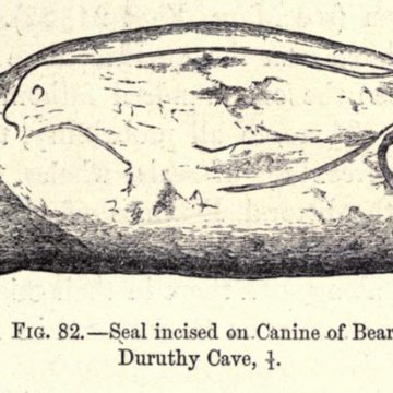 Grotte Duruthy à Sorde-lAbbaye