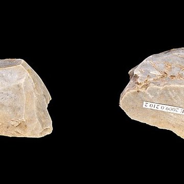 Grotte Duruthy à Sorde-lAbbaye