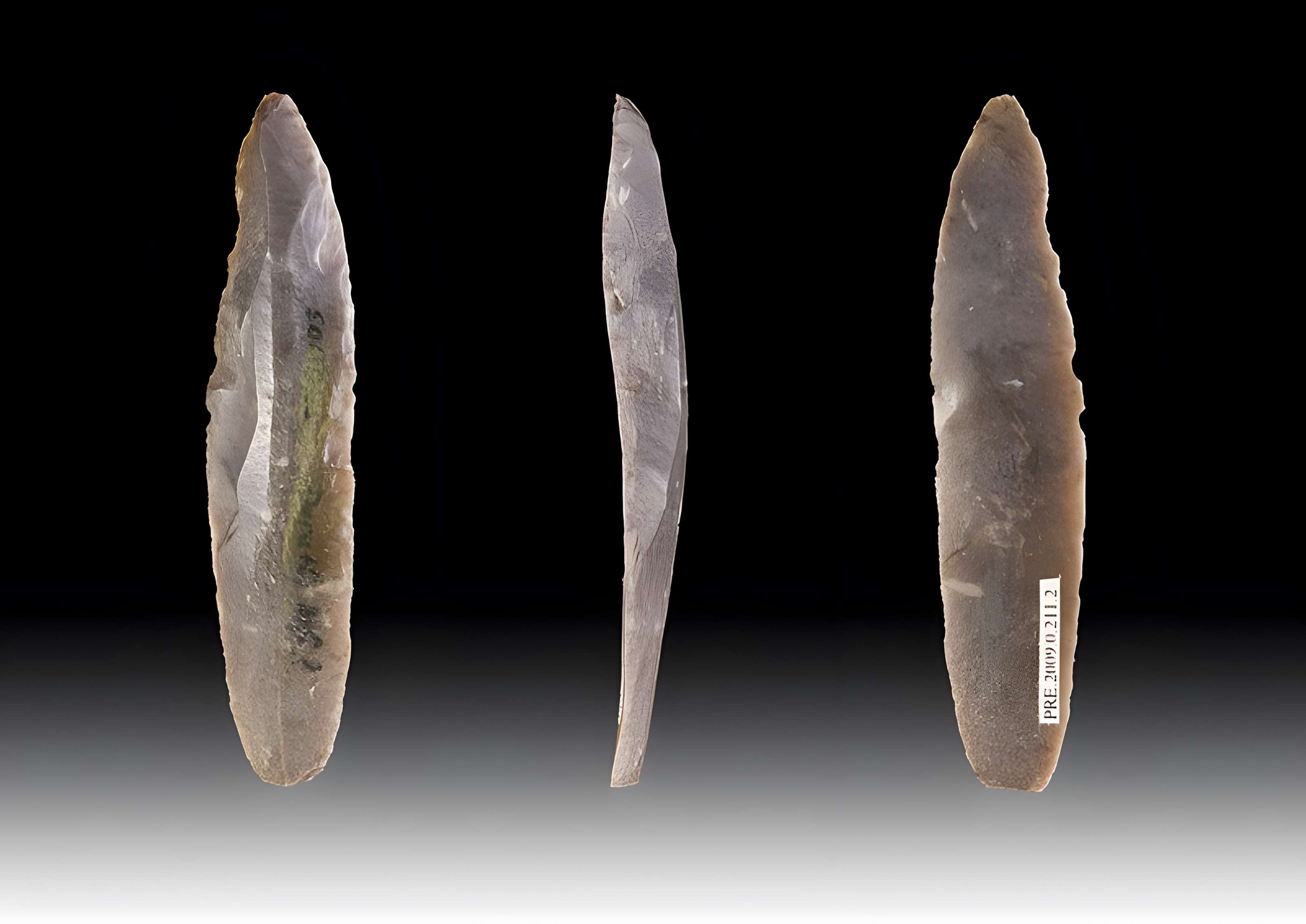 Grotte Duruthy à Sorde-l'Abbaye 