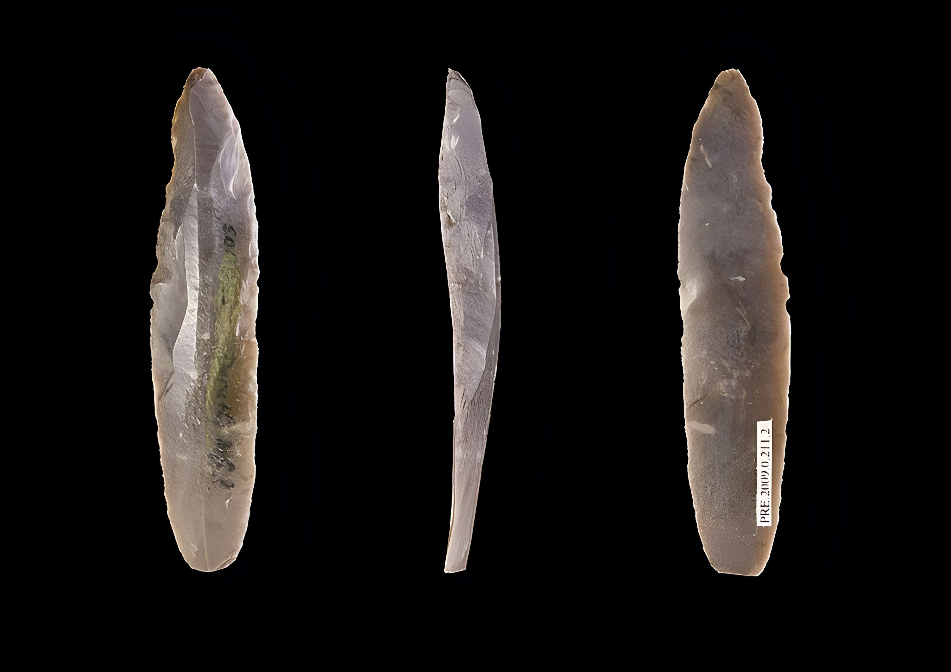 Grotte Duruthy à Sorde-l'Abbaye