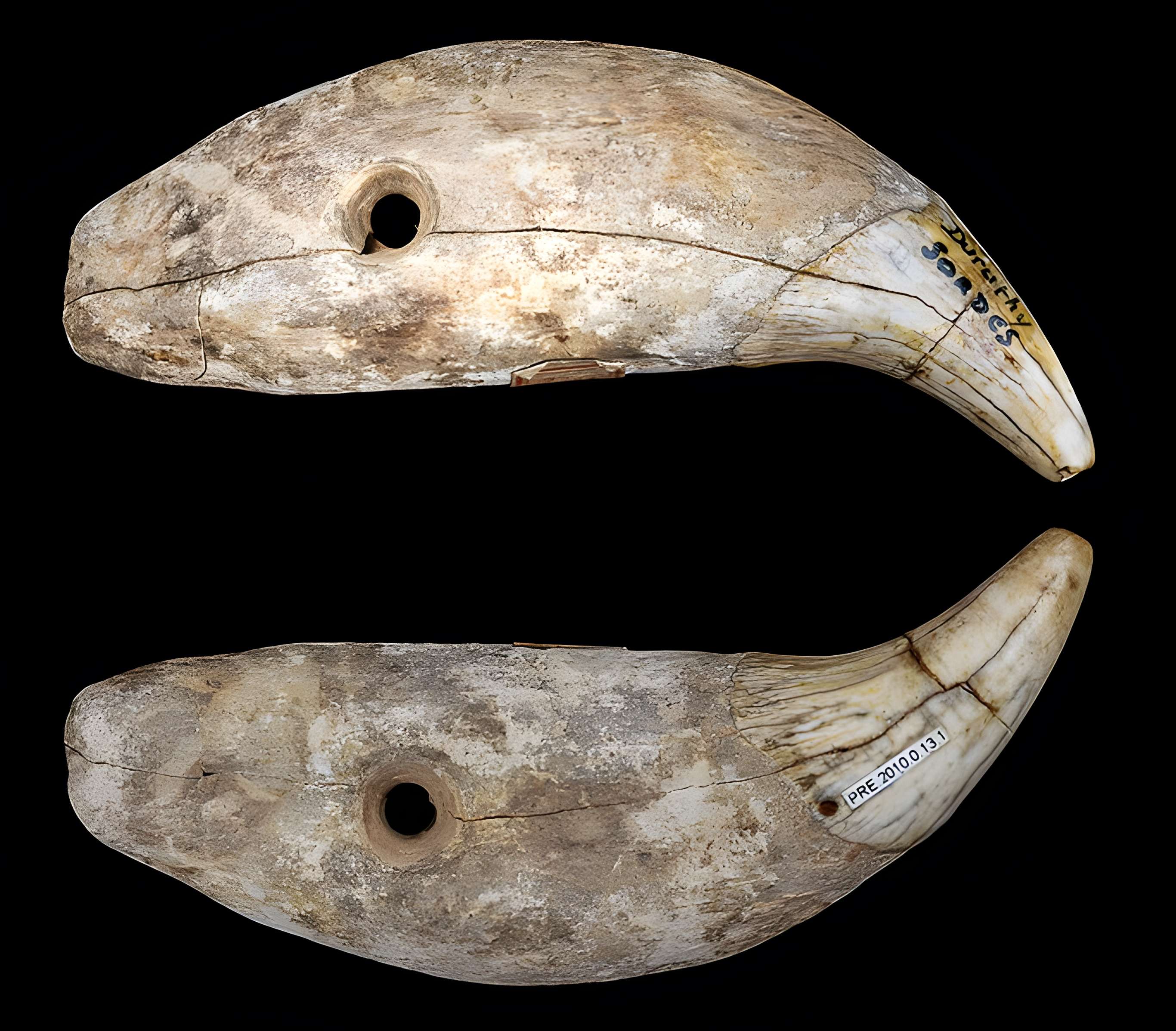 Grotte Duruthy à Sorde-l'Abbaye