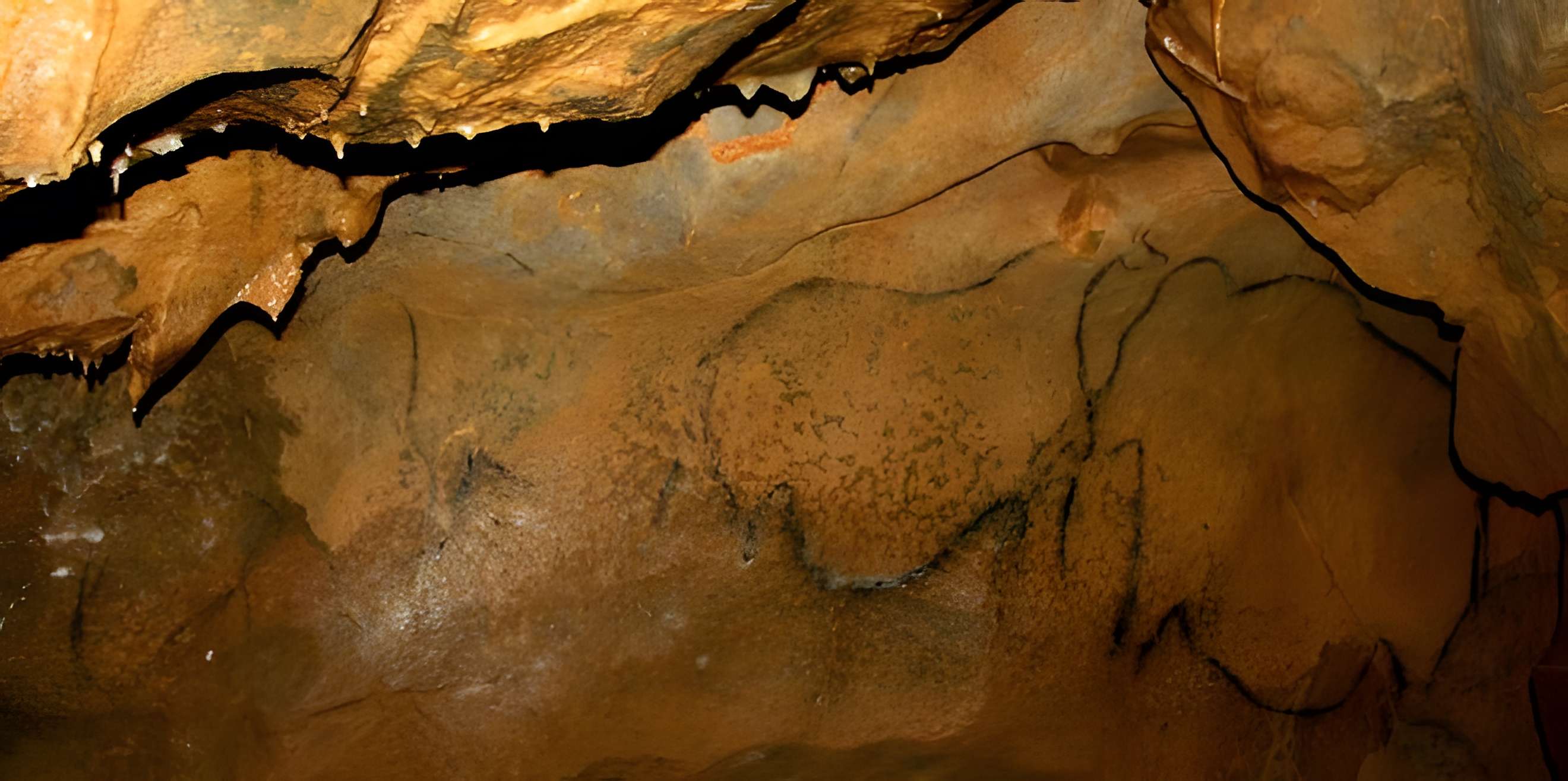 Grotte Mayenne-Sciences à Thorigné-en-Charnie 