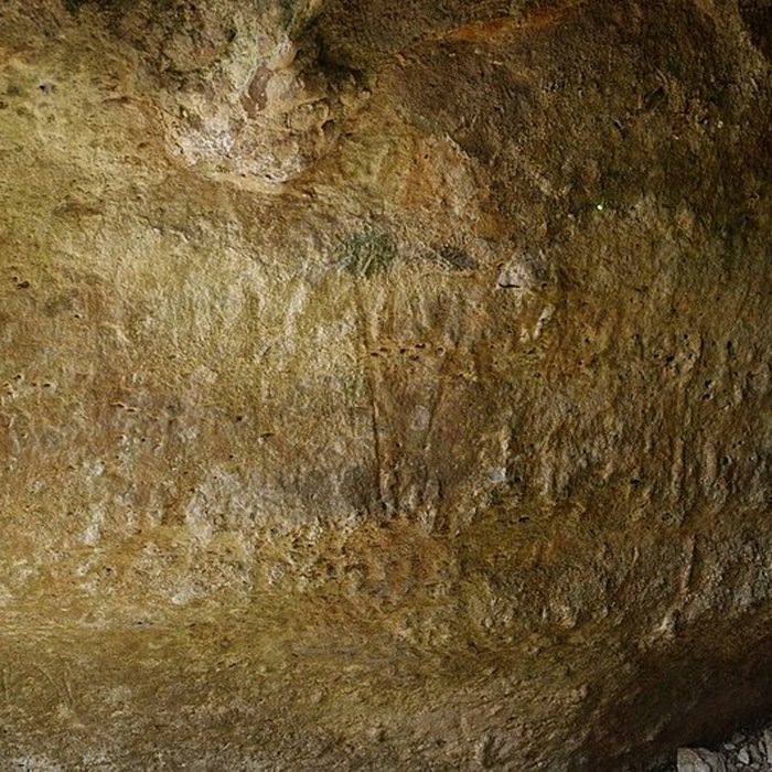 Photo de Grotte ornée de Jovelle à La Tour-Blanche