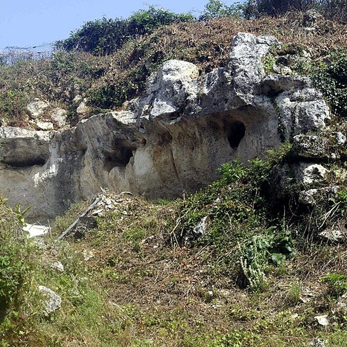 Photo de Grotte ornée de Jovelle à La Tour-Blanche