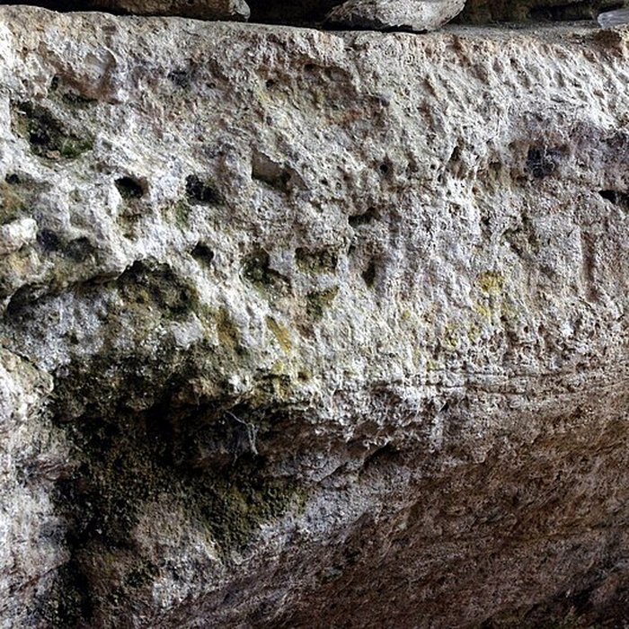 Photo de Grotte ornée de Jovelle à La Tour-Blanche
