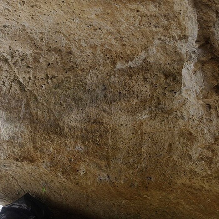 Photo de Grotte ornée de Jovelle à La Tour-Blanche