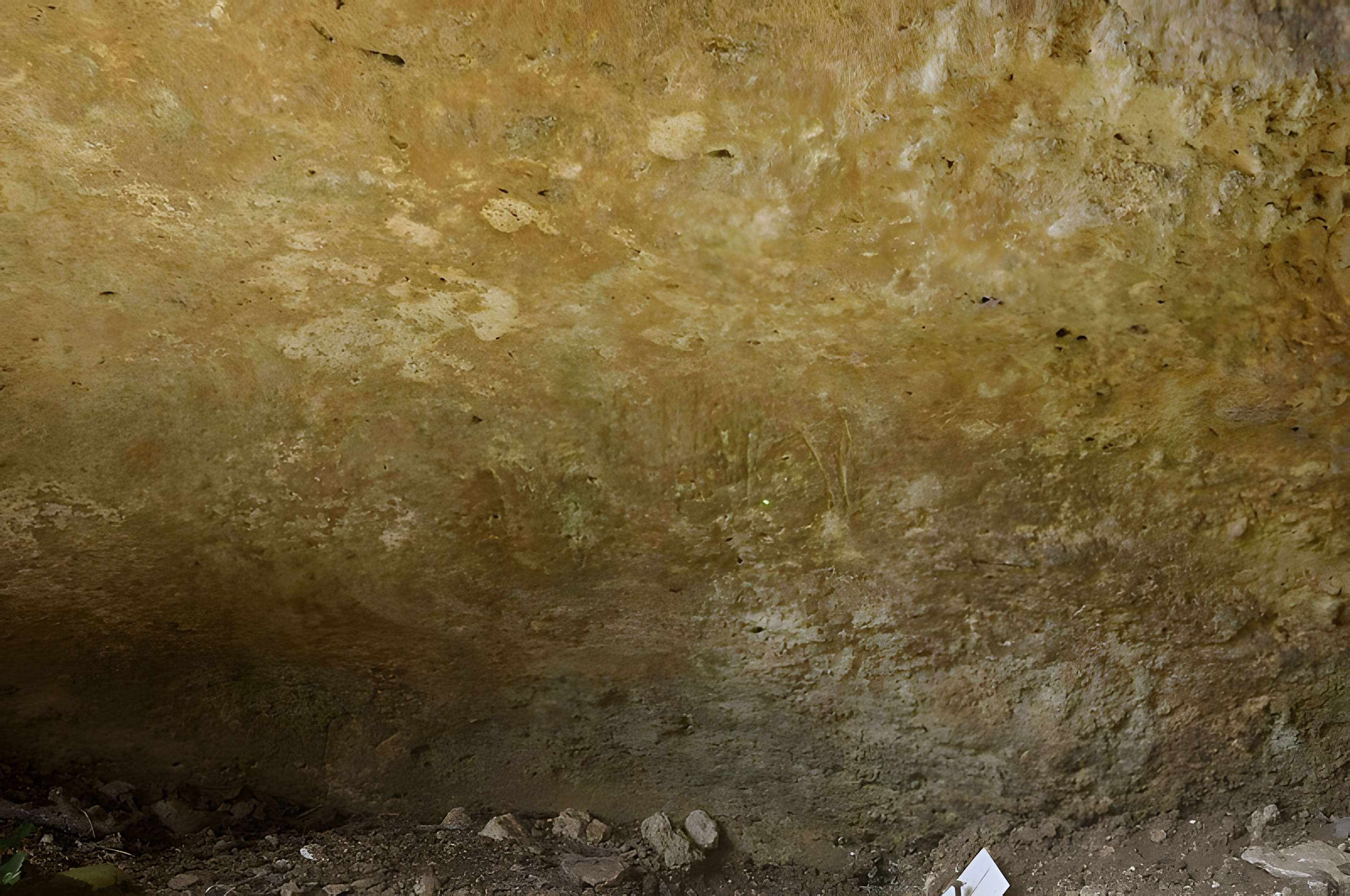 Grotte ornée de Jovelle à La Tour-Blanche