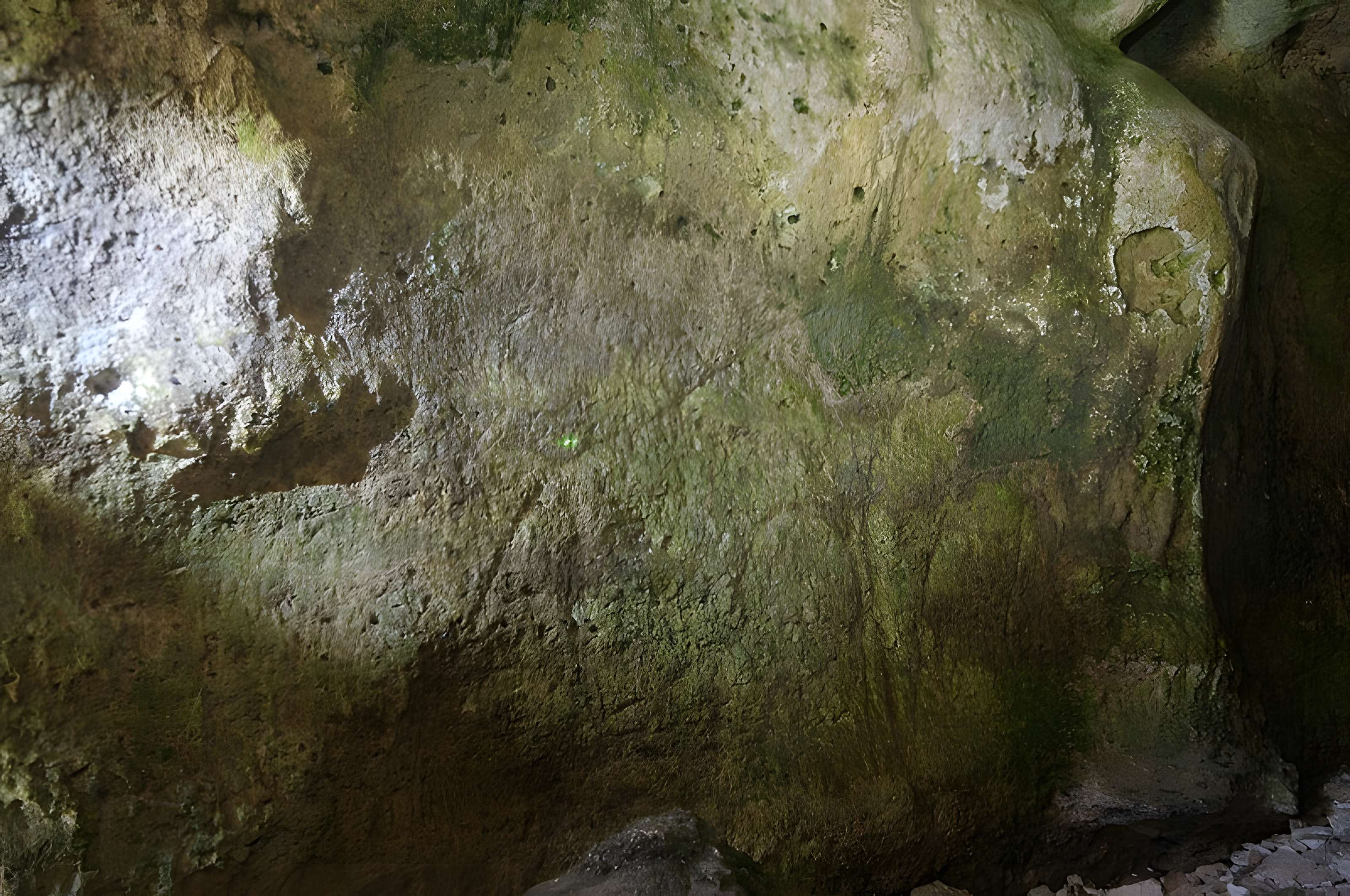 Grotte ornée de Jovelle à La Tour-Blanche