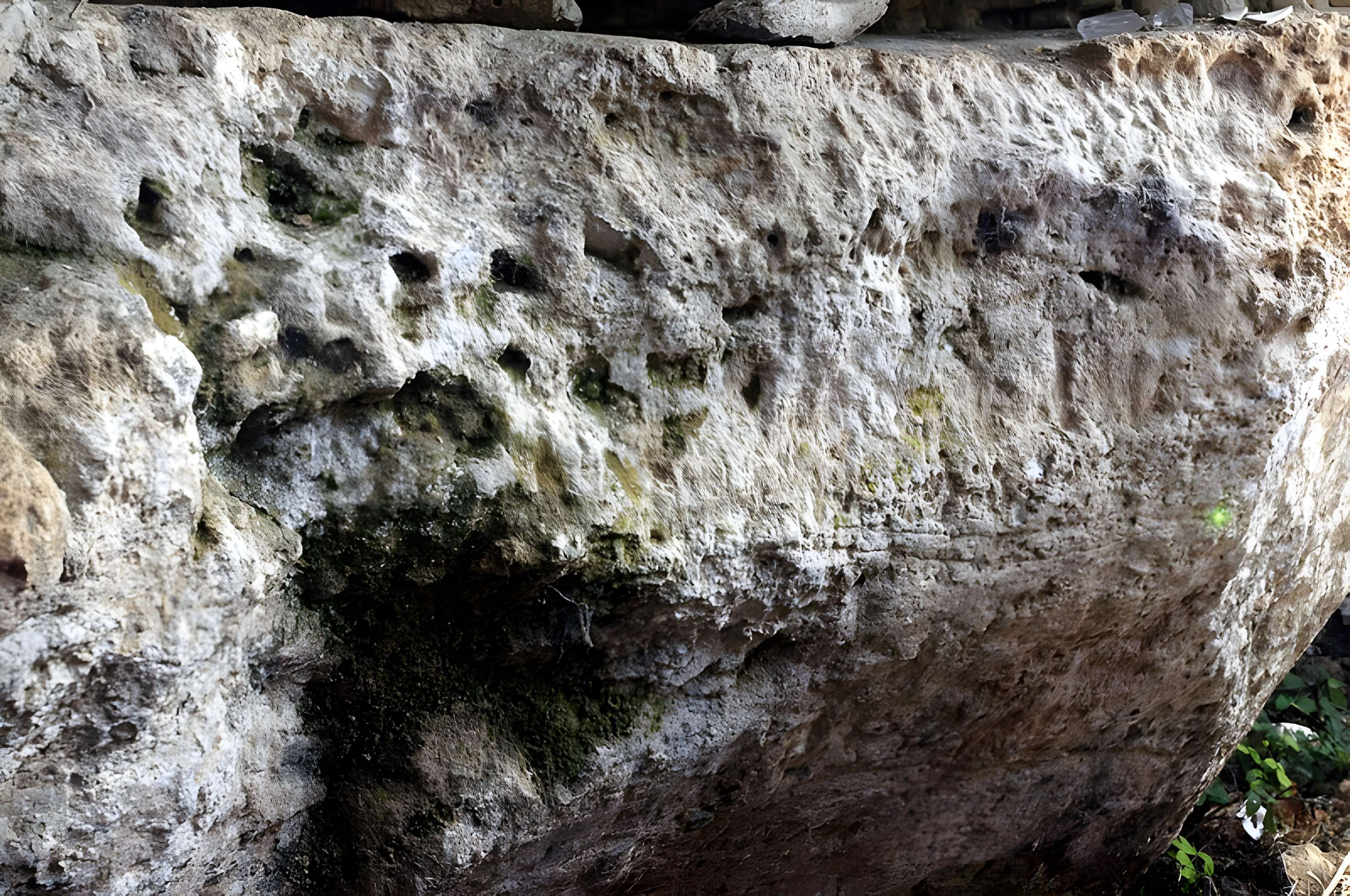 Grotte ornée de Jovelle à La Tour-Blanche