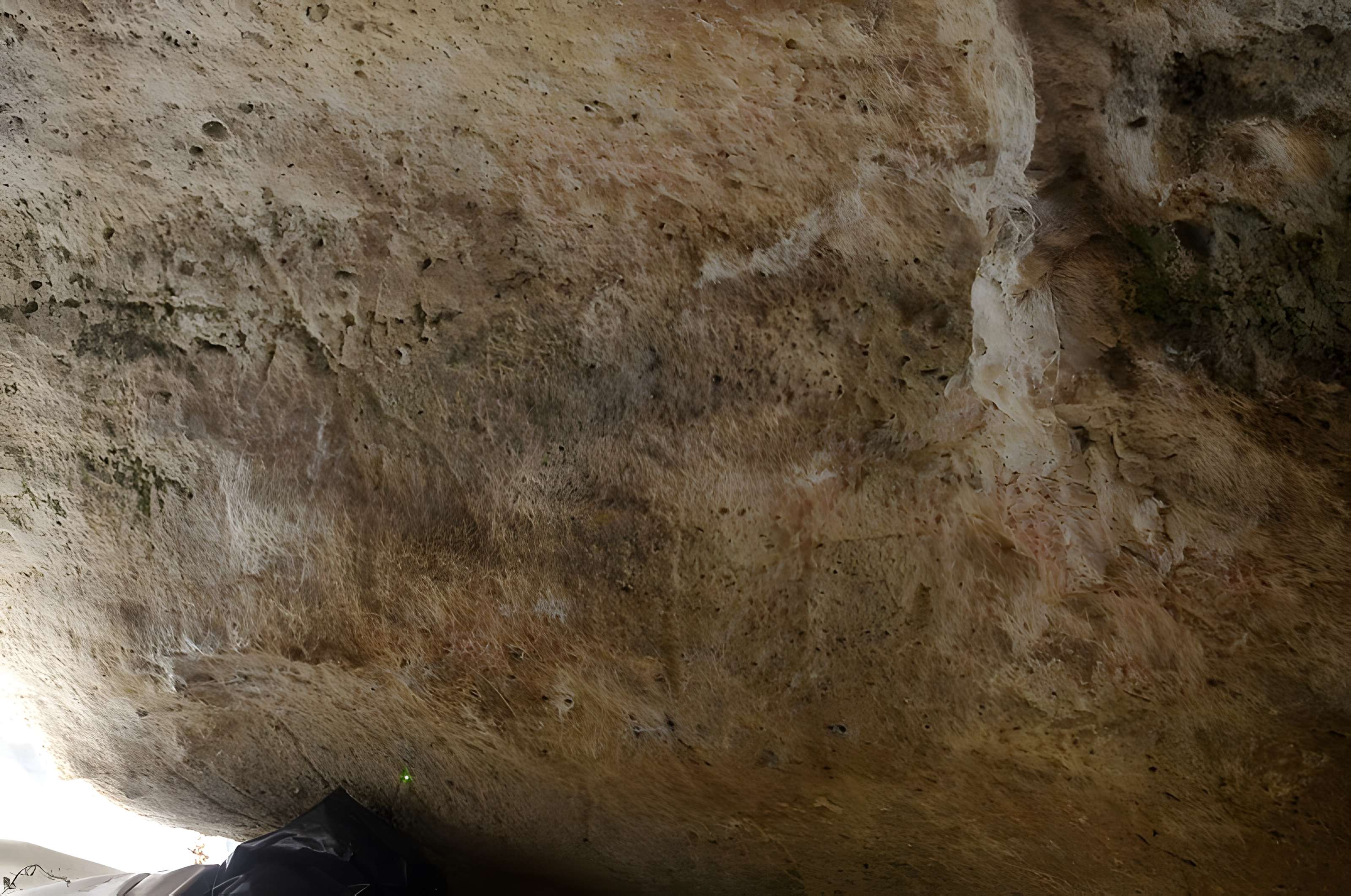 Grotte ornée de Jovelle à La Tour-Blanche