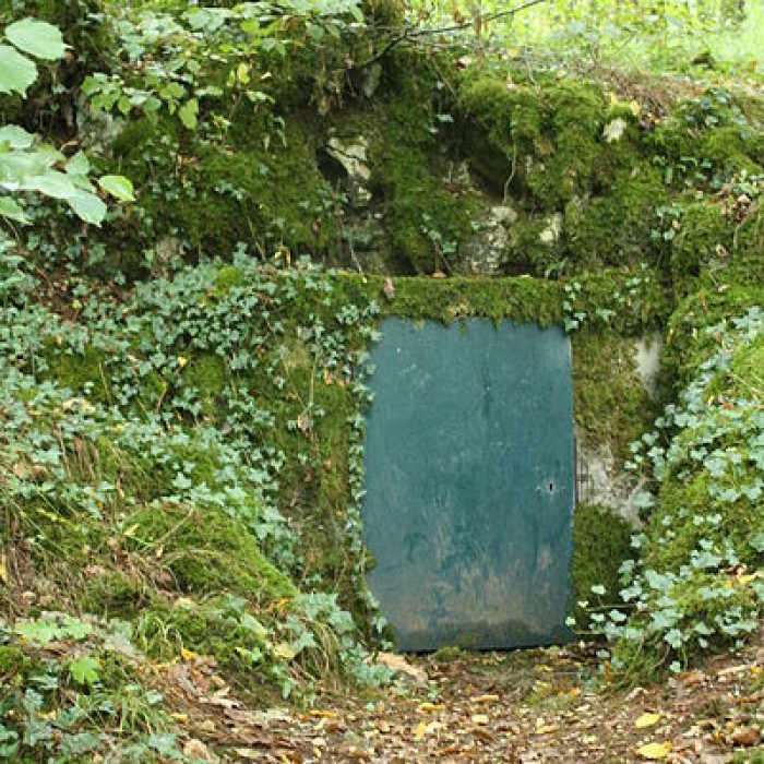 Photo de Grotte préhistorique du Cluzeau à Villars