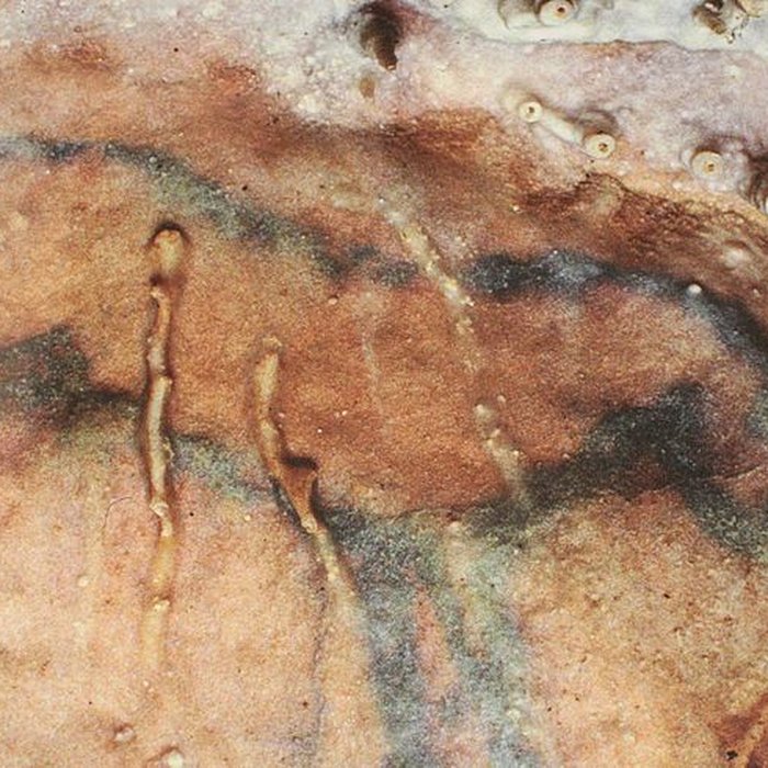 Photo de Grotte préhistorique du Cluzeau à Villars