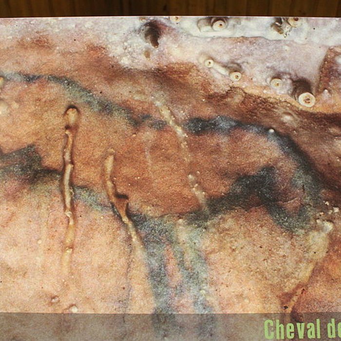 Photo de Grotte préhistorique du Cluzeau à Villars