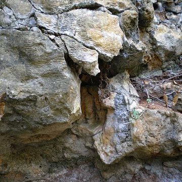 Grotte préhistorique du Cluzeau à Villars