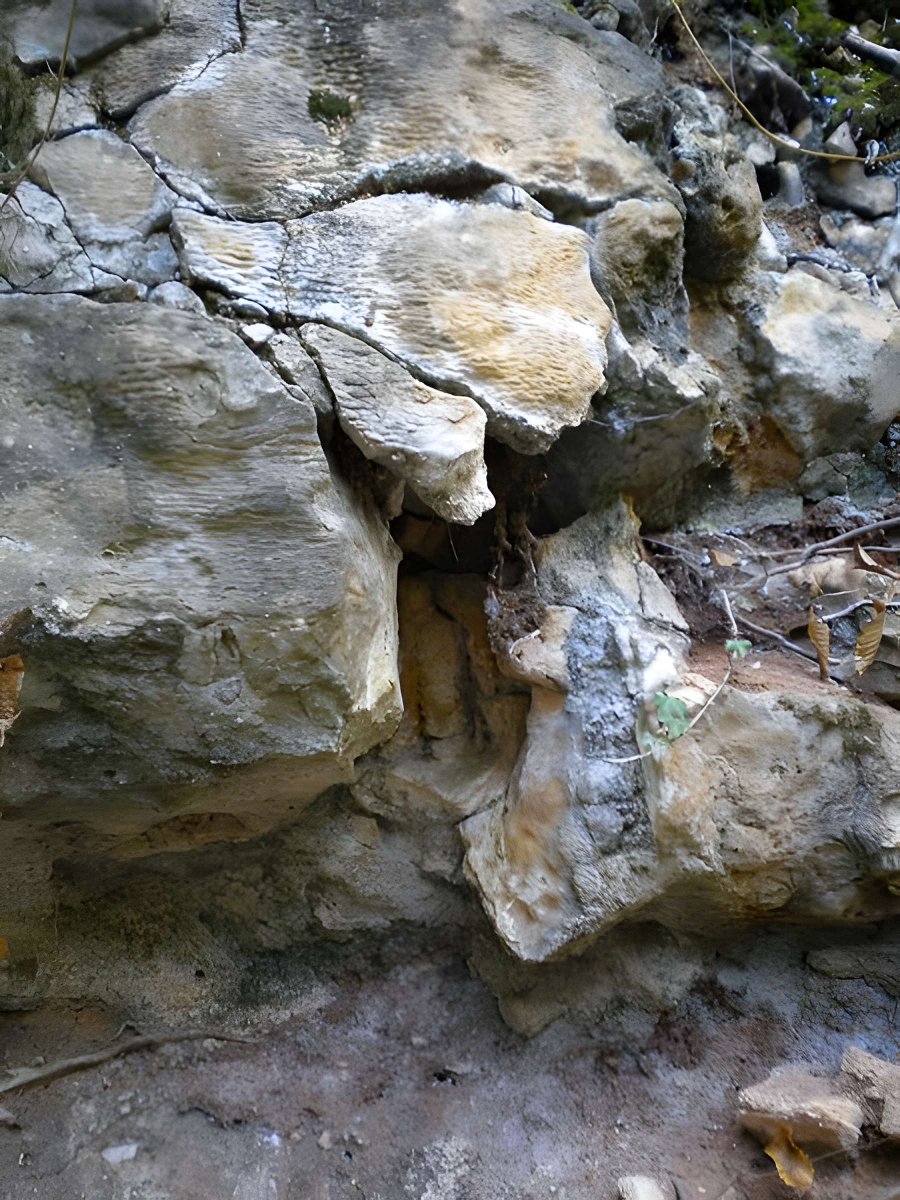 Grotte préhistorique du Cluzeau à Villars