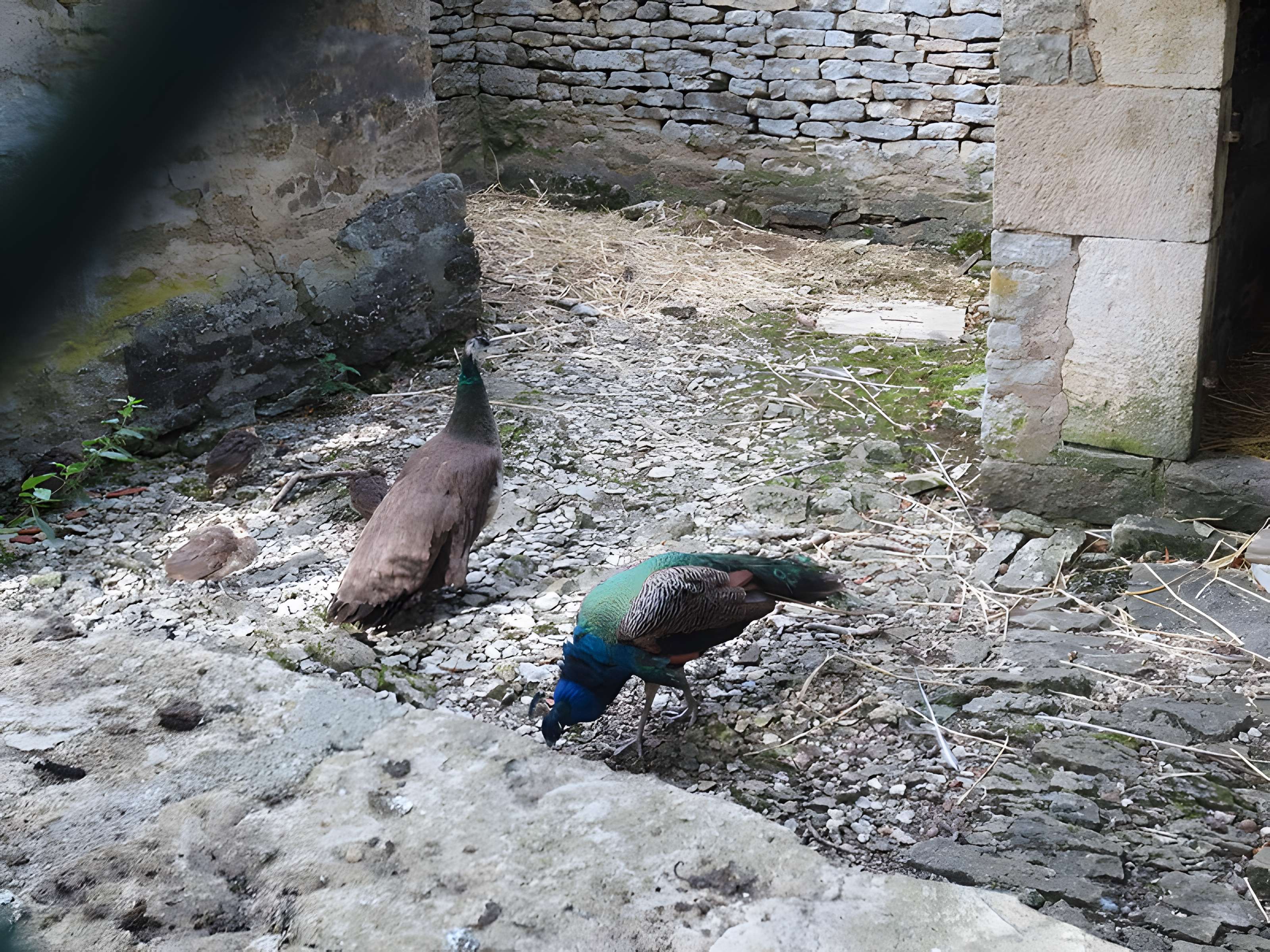 Château de Bussy-Rabutin
