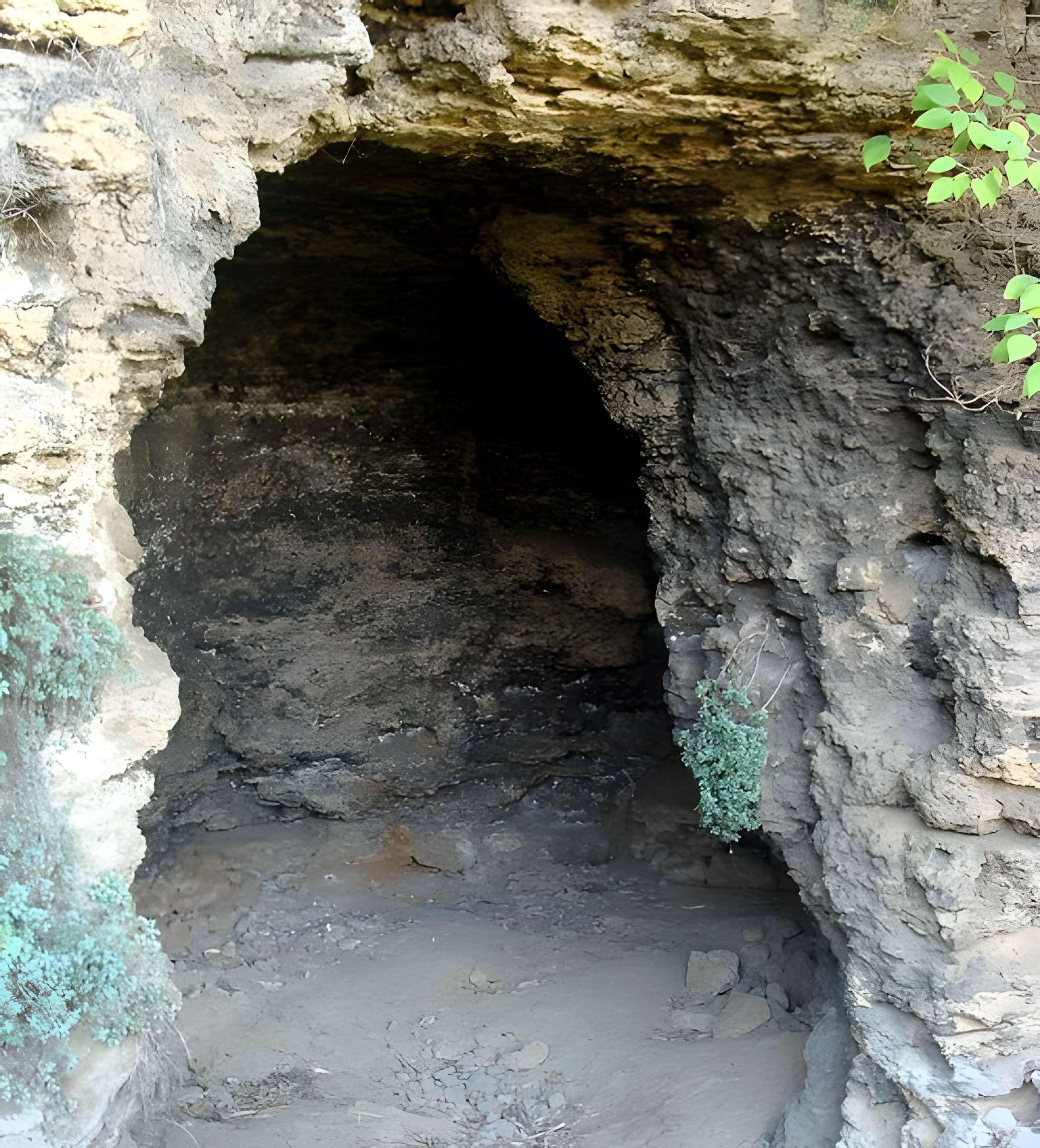 Grotte-ermitage des Aygalades ou des Carmes