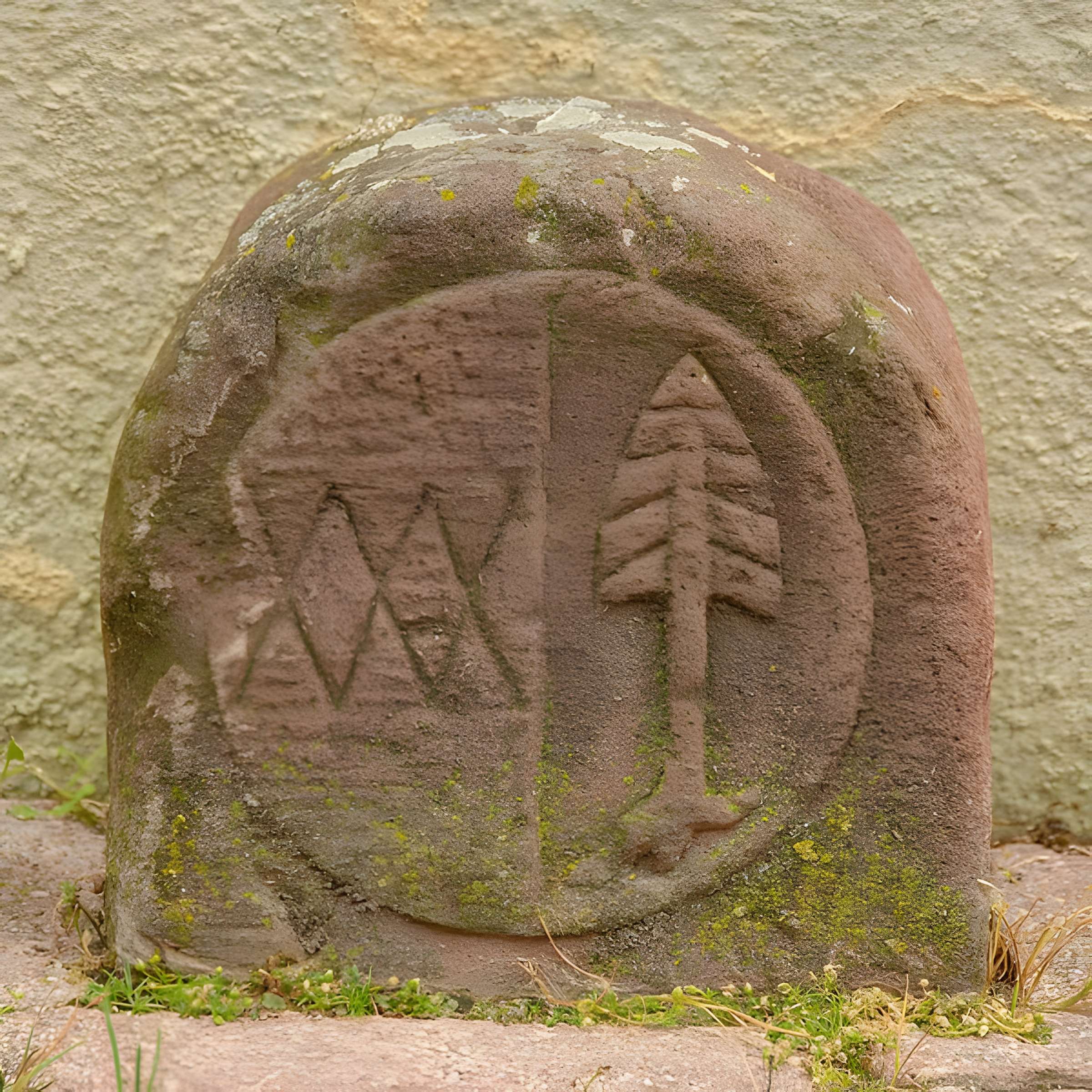 Halle aux blés de Thann