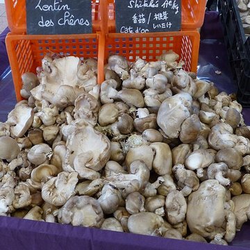 Halles centrales de Dijon
