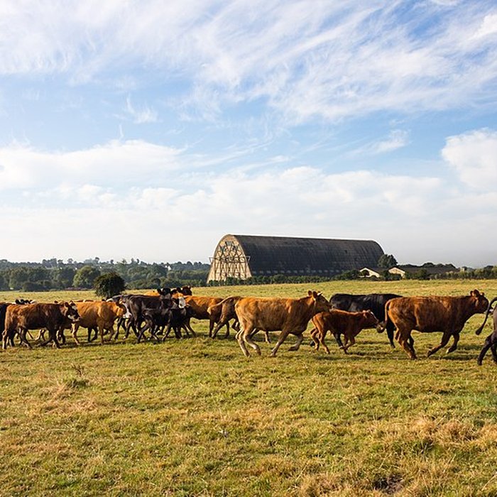 Photo de Hangar à dirigeables dÉcausseville