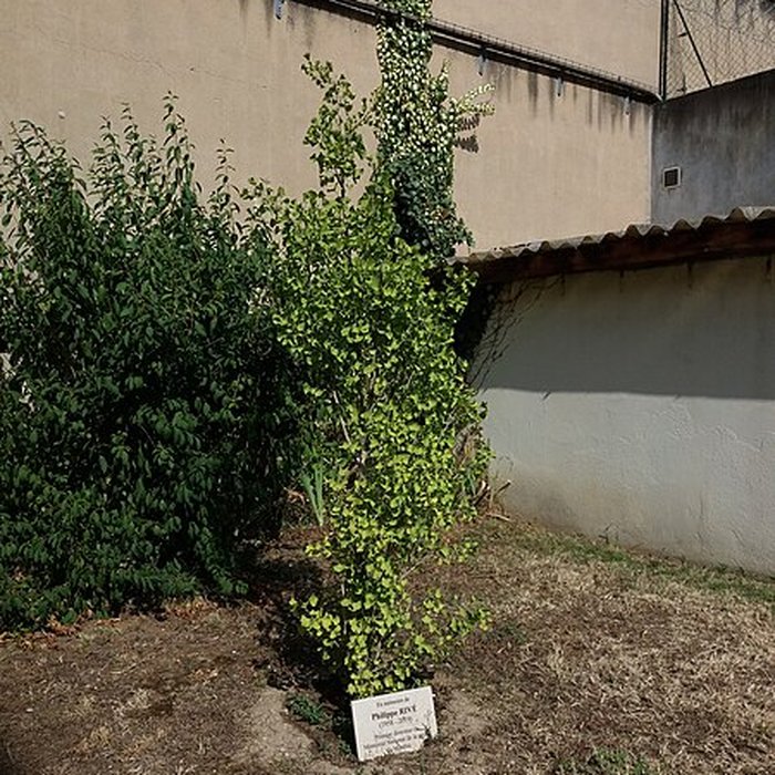 Photo de Prison Montluc