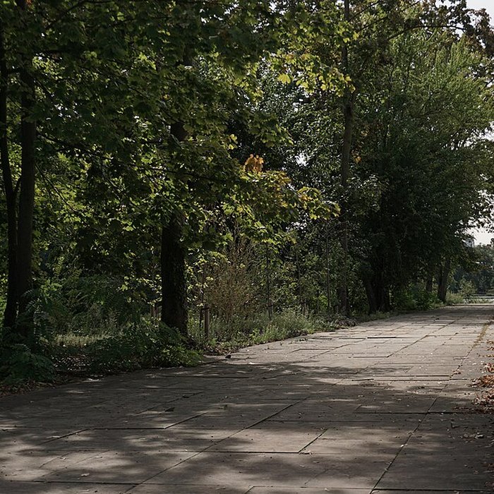 Photo de Parc de la Tête-dOr