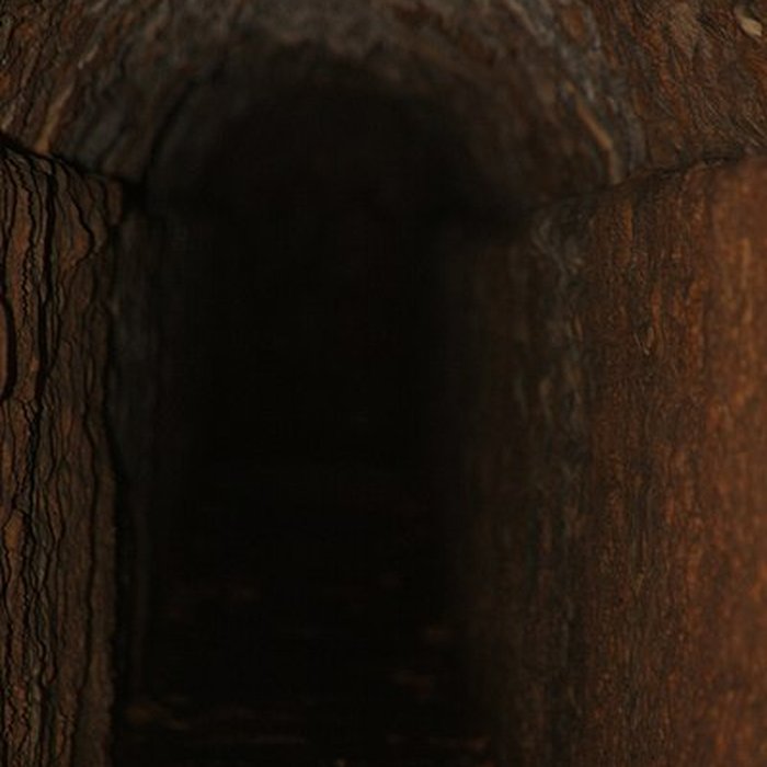 Photo de Réservoirs daqueduc du Vallon dArche vestiges