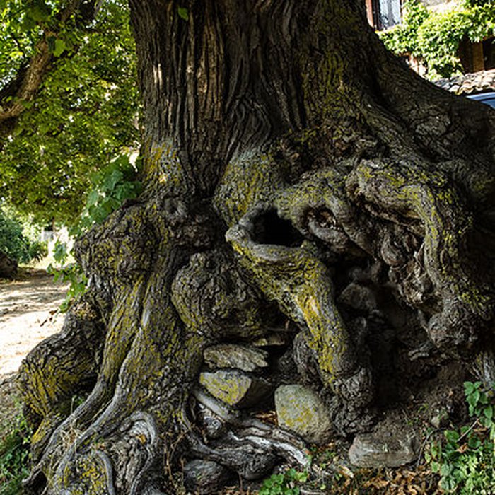 Photo de Eglise de Châteauvieux