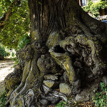 Eglise de Châteauvieux