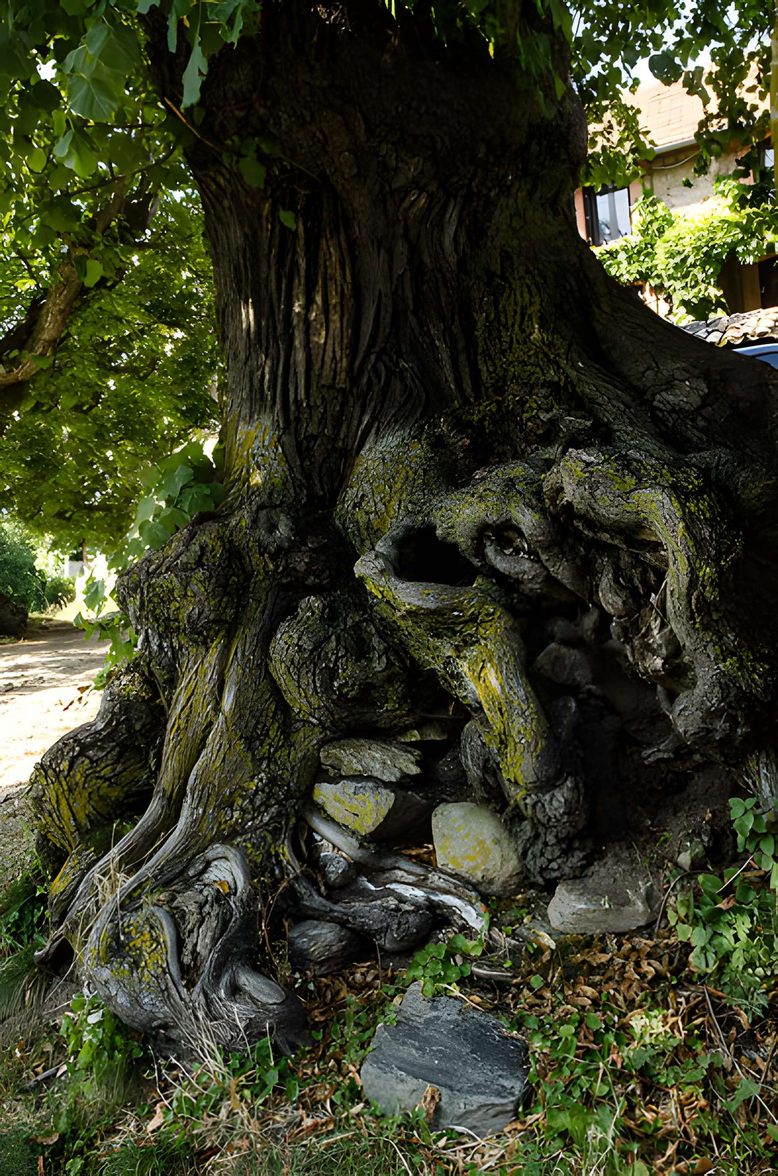 Eglise de Châteauvieux