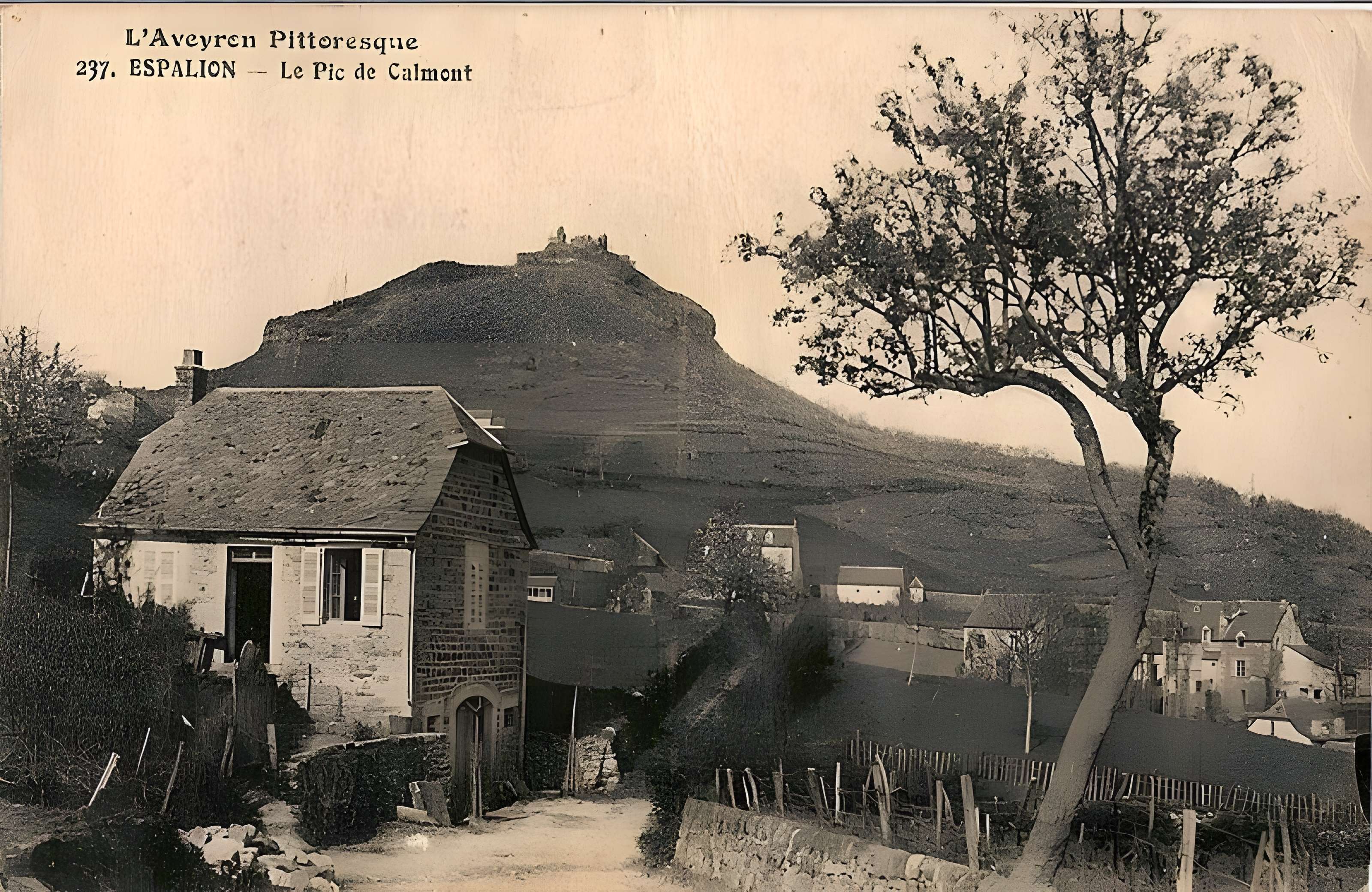 Château de Calmont d'Olt