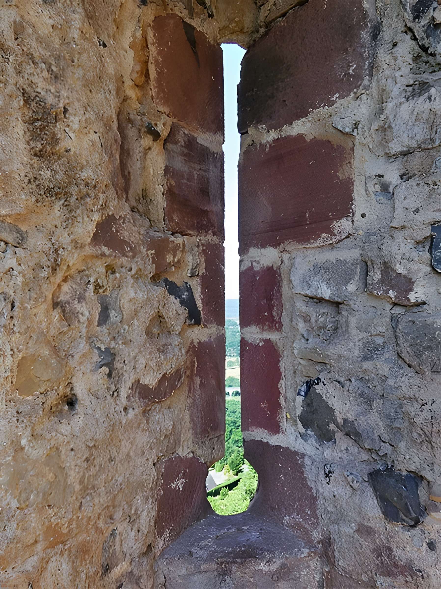 Château de Calmont d'Olt