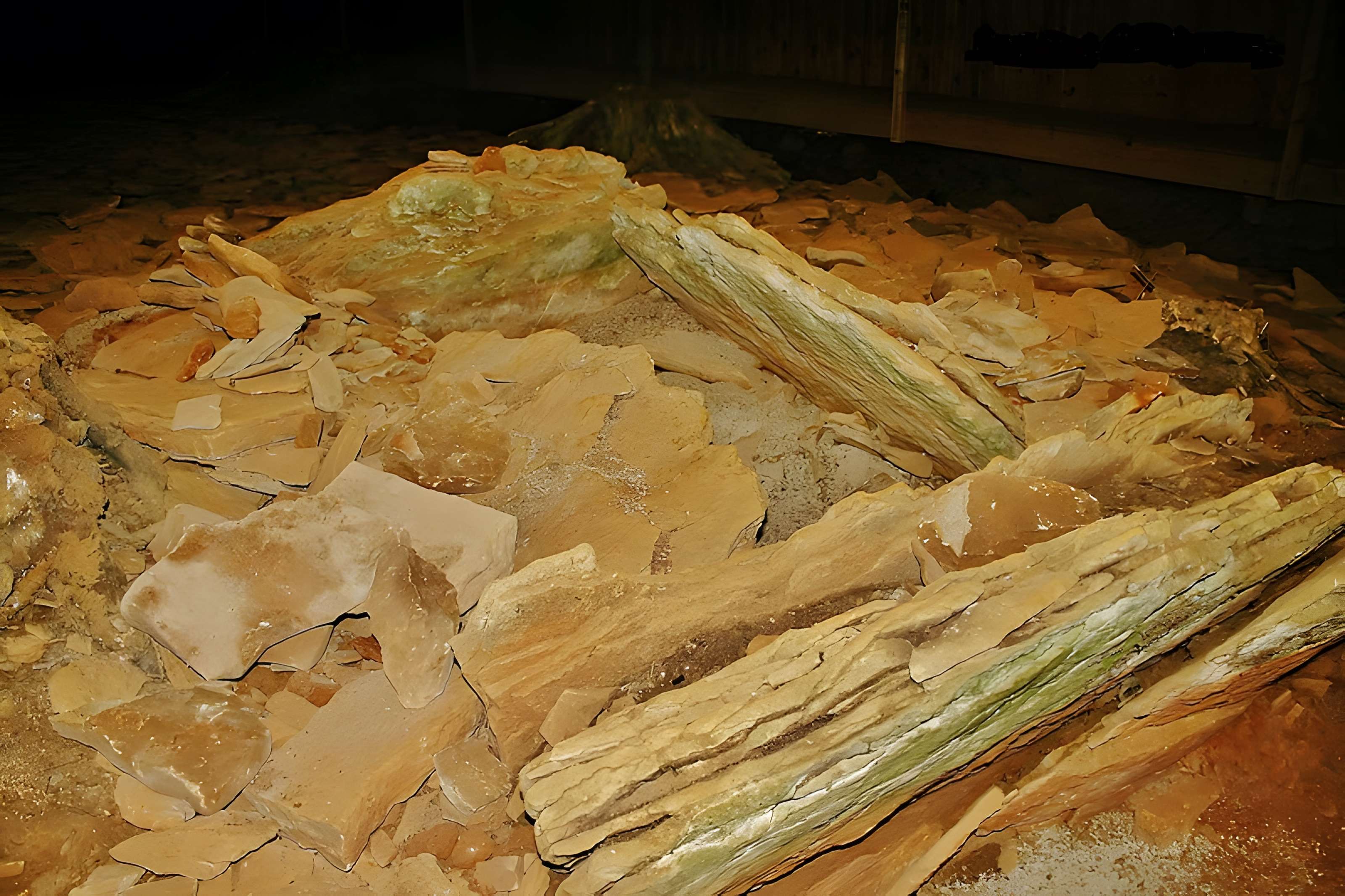 Sépulture mégalithique