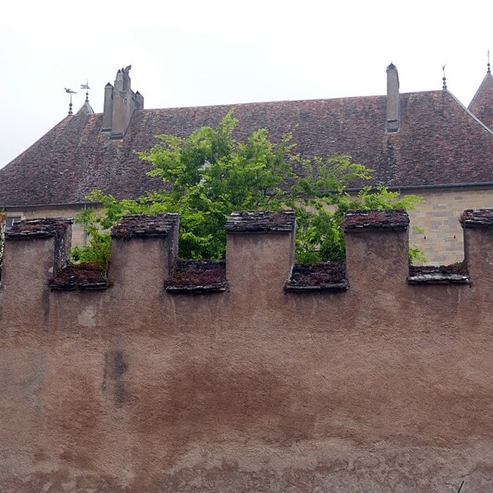 Photo de Château de Buthiers