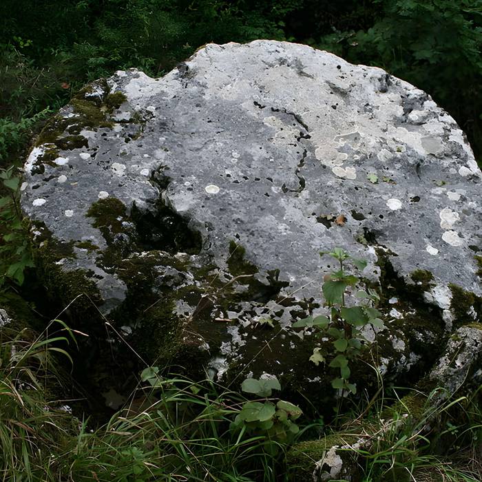 Photo de Dolmen
