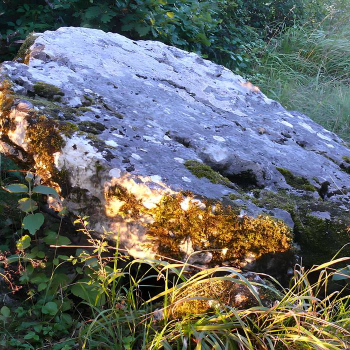 Photo de Dolmen