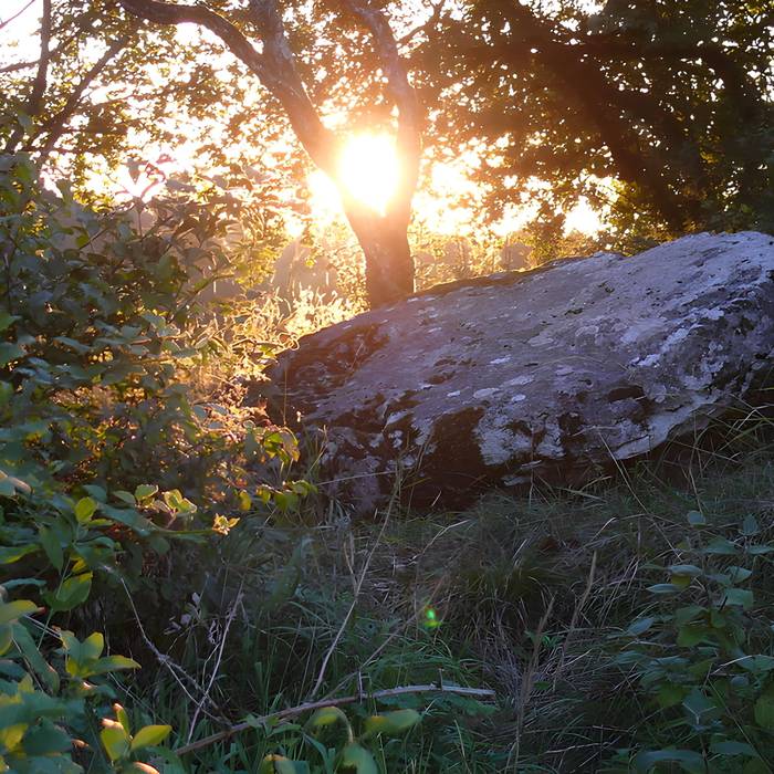 Photo de Dolmen