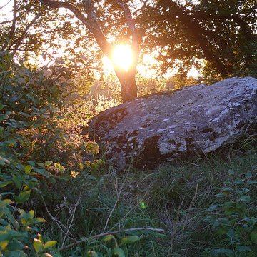 Dolmen