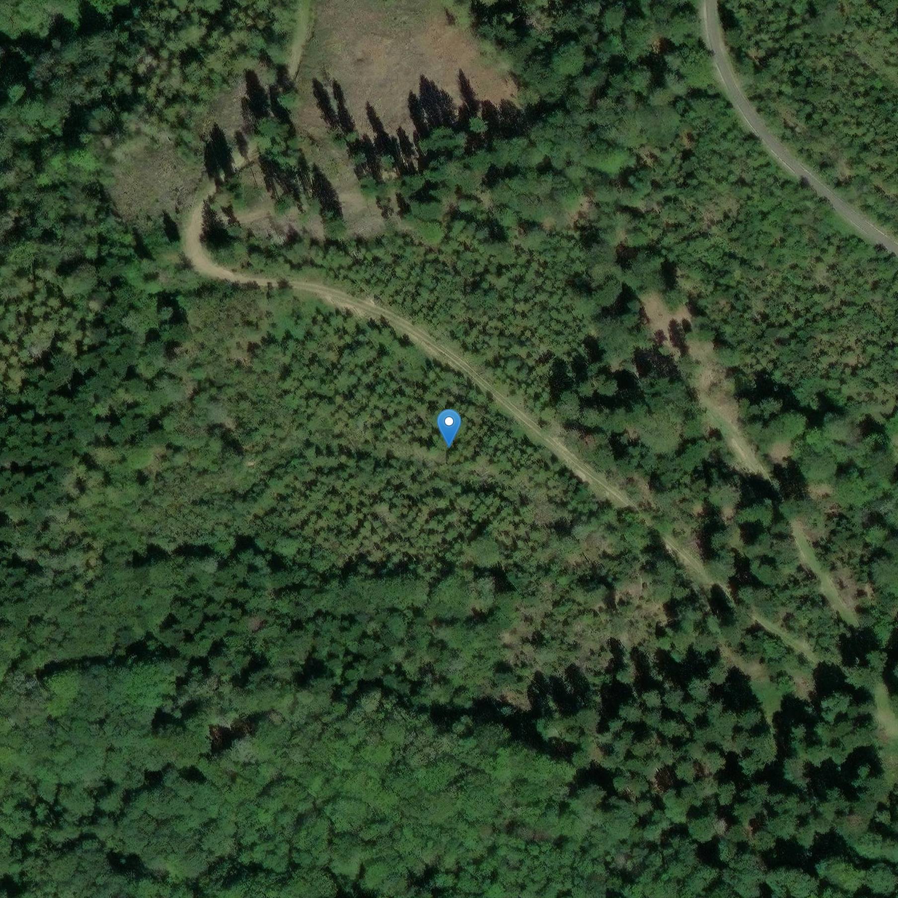 Photo de 原料抽出のキャリア