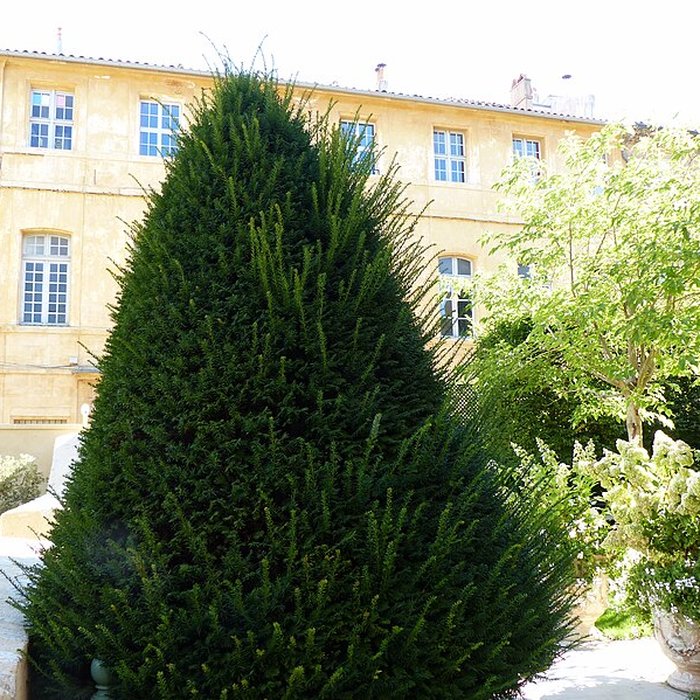 Photo de Hôtel de Caumont à Aix-en-Provence