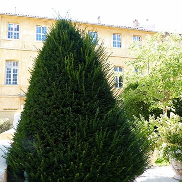 Hôtel de Caumont à Aix-en-Provence