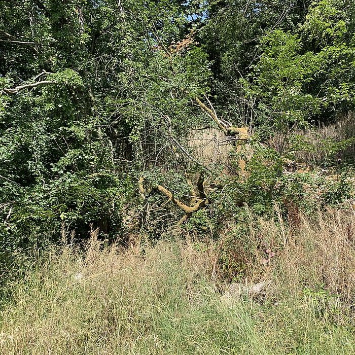 Photo de Grotte des Furtins également sur commune de Berzé-la-Ville