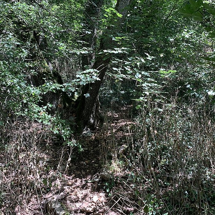 Photo de Grotte des Furtins également sur commune de Berzé-la-Ville