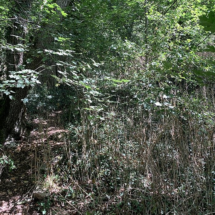 Photo de Grotte des Furtins également sur commune de Berzé-la-Ville