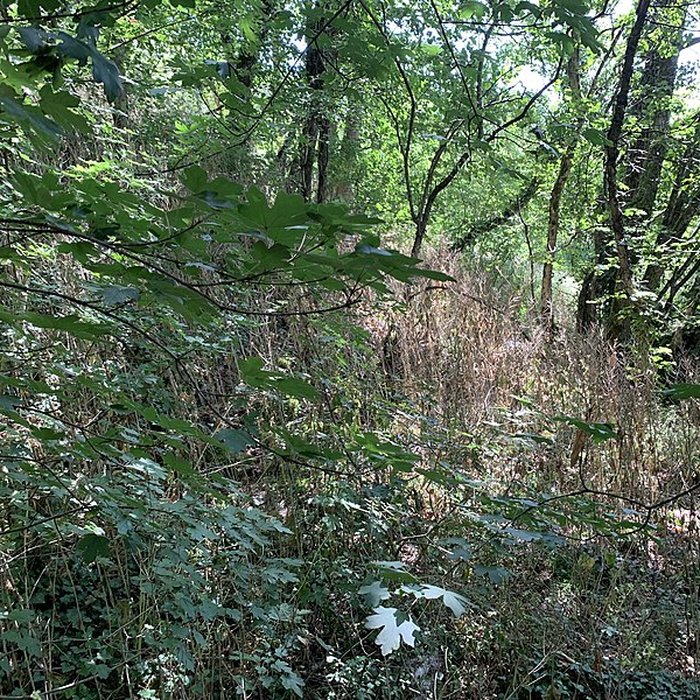 Photo de Grotte des Furtins également sur commune de Berzé-la-Ville