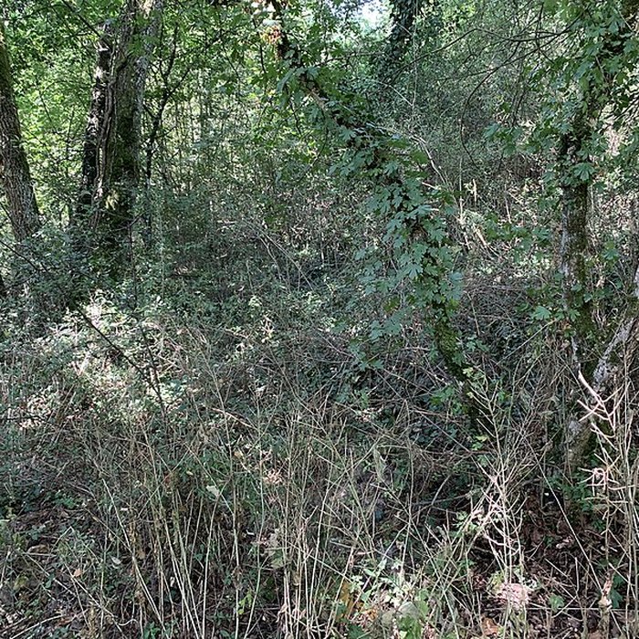 Photo de Grotte des Furtins également sur commune de Berzé-la-Ville