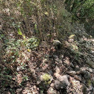 Grotte des Furtins également sur commune de Sologny